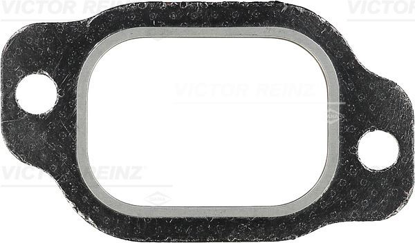 VICTOR REINZ 71-33983-00 Motor Manifold Contası