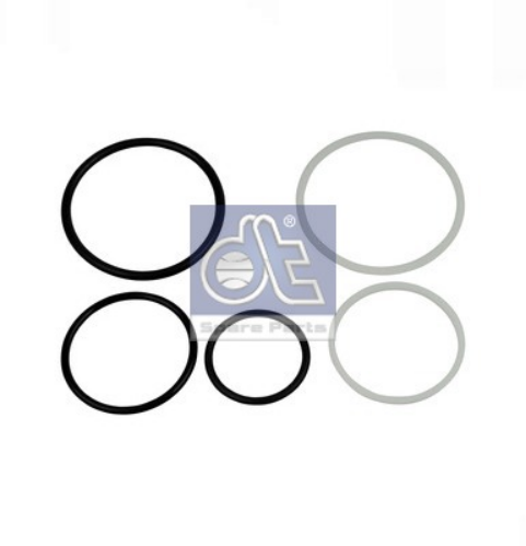 DT Spare Parts 1.31281 Yakıt Sistemi Yakıt Hattı & Rail