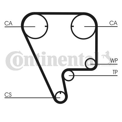 CONTINENTAL CTAM CT794 Motor Kayış - HONDA CIVIC IV Hatchback (EC, ED, EE, EF) uyumlu