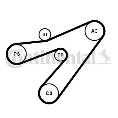 CONTINENTAL CTAM 4PK1538K1 Motor Kayış Kasnağı - RENAULT TWINGO I (C06_) uyumlu