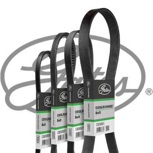 GATES CB0037 Motor Kayış