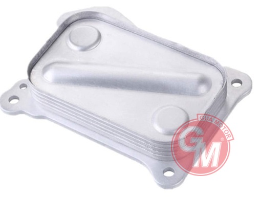 Yağ Soğutucu Contası - GUARNITAUTO - 40555 Ürün Görseli
