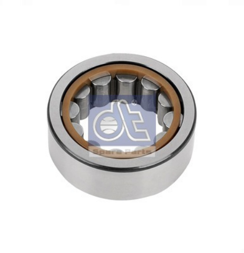 DT Spare Parts 1.14805 Şanzıman Manuel Şanzıman Tamir Takımı