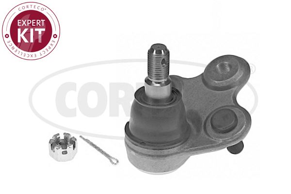 CORTECO 49395956 Tekerlek & Aks Parçaları Taşıyıcı Mafsal - HONDA CR-V III (RE_) uyumlu