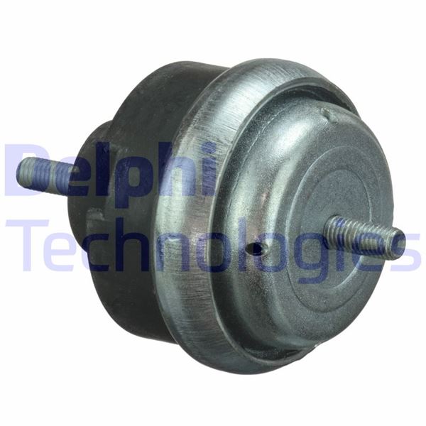 DELPHI TEM066 Motor Motor Yataklama - PEUGEOT 406 (8B) uyumlu