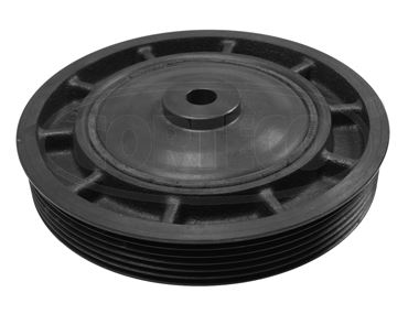 CORTECO 80001010 Motor Kayış Kasnağı - RENAULT LAGUNA I (B56_, 556_) uyumlu