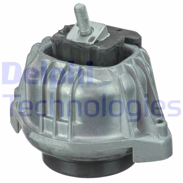 DELPHI TEM100 Motor Motor Yataklama - BMW 3 Touring (E91) uyumlu