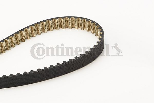 CONTINENTAL CTAM CT1211 Motor Kayış - FORD FOCUS III uyumlu