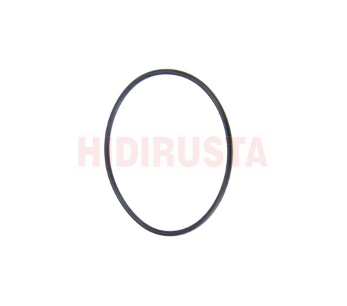 O Ring - EURORICAMBI - 95531923 Ürün Görseli