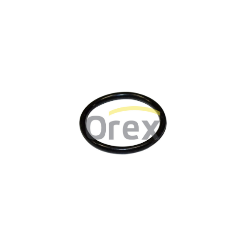 Retarder Eksantrik O-Ringi - OREX - 116172