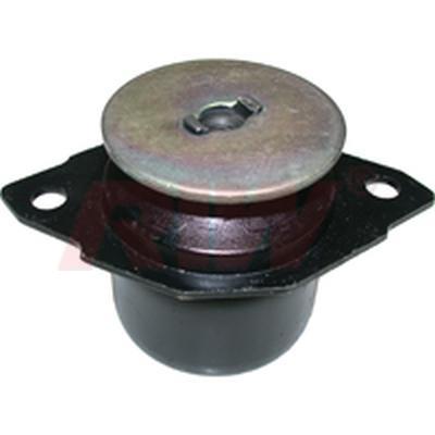 Motor Takozu - RIW - VW12008