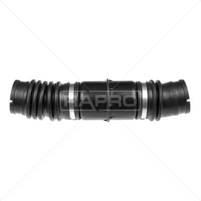 RAPRO R11305 Motor Hortum & Bağlantılar - FIAT TIPO (160_) uyumlu