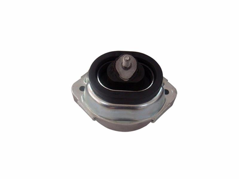 KAUTEK BM-EM029 Motor Motor Yataklama - BMW X5 (E53) uyumlu