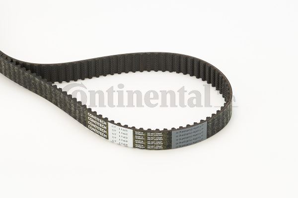 CONTINENTAL CTAM CT1162 Motor Kayış - FORD C-MAX II (DXA/CB7, DXA/CEU) uyumlu