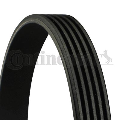 CONTINENTAL CTAM 5PK1310 Motor Kayış - MERCEDES-BENZ A-SERISI (W169) uyumlu