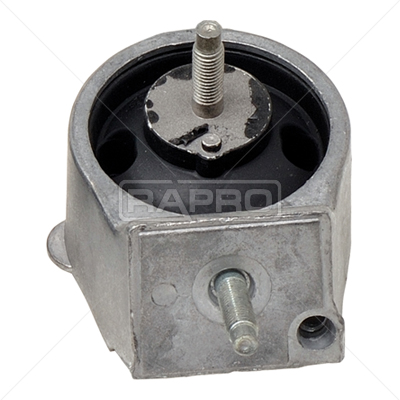 RAPRO R55149 Motor Motor Yataklama - RENAULT 21 Sedan (L48_) uyumlu