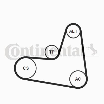 CONTINENTAL CTAM 6PK1120K2 Motor Kayış Kasnağı - VW PASSAT B7 (362) uyumlu