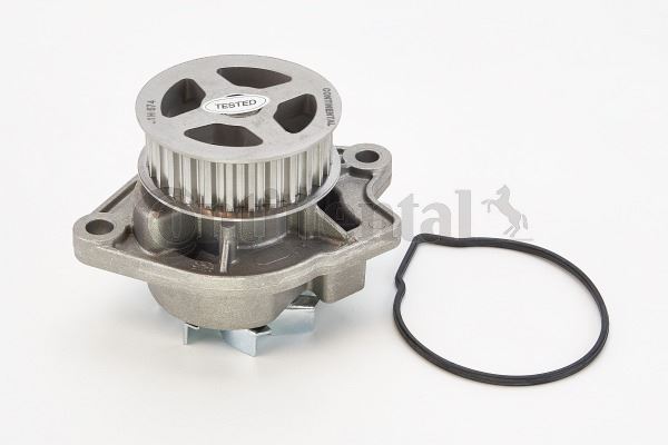 CONTINENTAL CTAM WP6004 Motor Devirdaim - SKODA OCTAVIA II Combi (1Z5) uyumlu