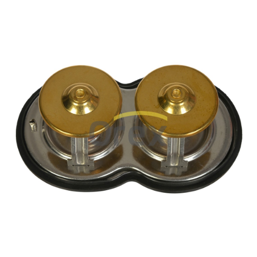 Termostat - OREX - 520056 Ürün Görseli