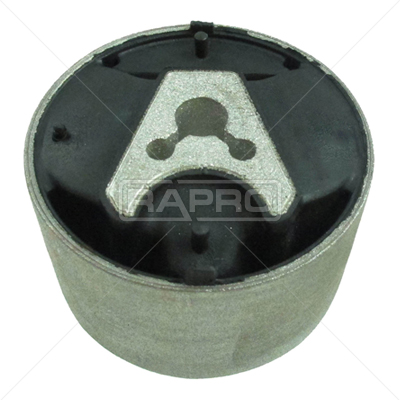 RAPRO R51884 Motor Motor Susturucu - CITROËN C4 II (NC_) uyumlu