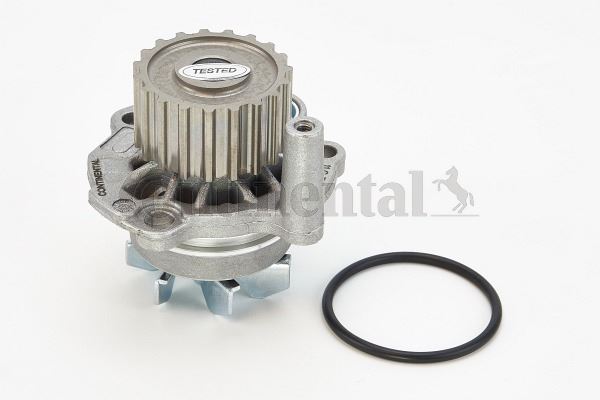 CONTINENTAL CTAM WP6005 Motor Devirdaim - VW CADDY II Kasa/büyük limuzin (9K9A) uyumlu