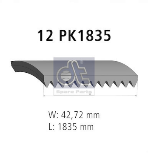 DT Spare Parts 7.54812 Motor Kayış - IVECO TRAKKER I uyumlu