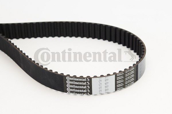 CONTINENTAL CTAM CT977 Motor Kayış - RENAULT LAGUNA I (B56_, 556_) uyumlu