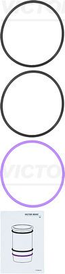 VICTOR REINZ 15-39516-01 Motor Piston Seti - DAF XG+ uyumlu