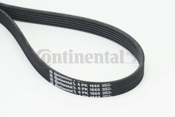 CONTINENTAL CTAM 6PK1660 Motor Kayış - BMW 3 (E36) uyumlu