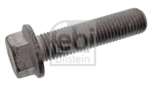 FEBI BILSTEIN 10191 Sarf Malzemeler Cıvatalar