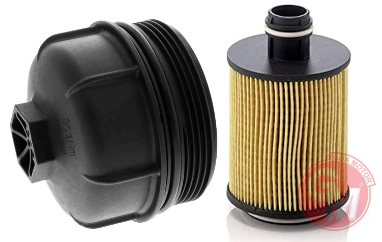 Yağ Filtresi Ve Kapağı Seti - GUARNITAUTO - 42124 Ürün Görseli
