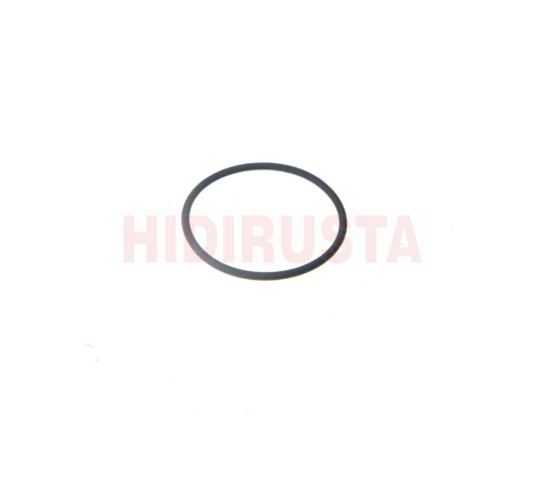 Şanzıman Takviye Silindir Oringi - EURORICAMBI - 60531399