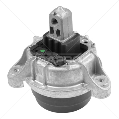 RAPRO R54772 Motor Motor Yataklama - BMW 5 (F10) uyumlu