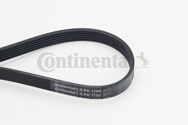 CONTINENTAL CTAM 6PK1780 Motor Kayış - BMW 3 Touring (E91) uyumlu