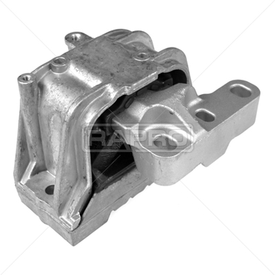 RAPRO R54490 Motor Motor Yataklama - VW PASSAT B6 Variant (3C5) uyumlu