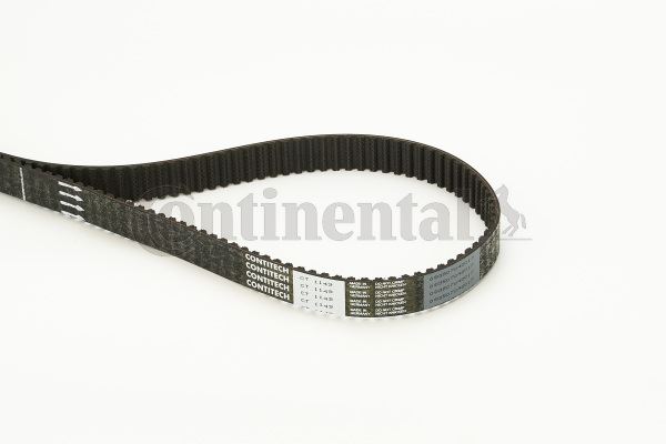 CONTINENTAL CTAM CT1149 Motor Kayış - ALFA ROMEO 145 (930_) uyumlu