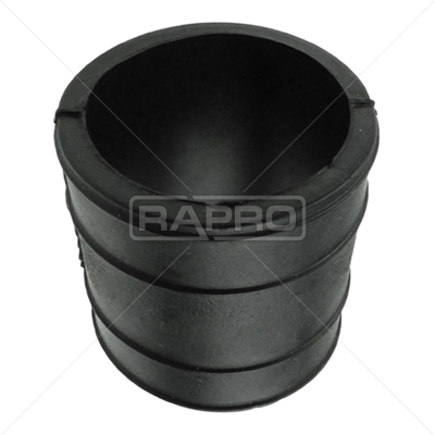RAPRO R25315 Motor Hortum & Bağlantılar - VW GOLF IV (1J1) uyumlu
