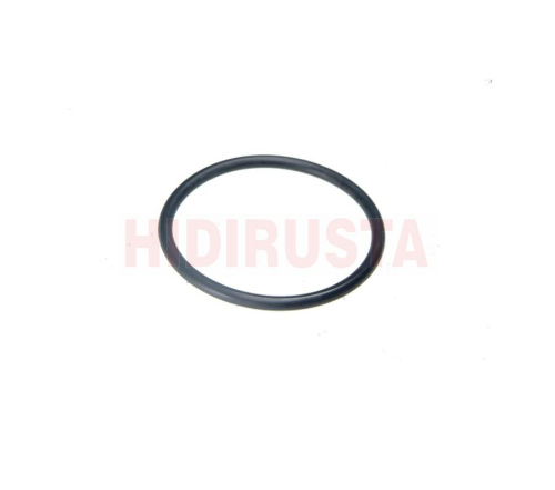 Retarder Eksantrik O-Ringi - EURORICAMBI - 60531373