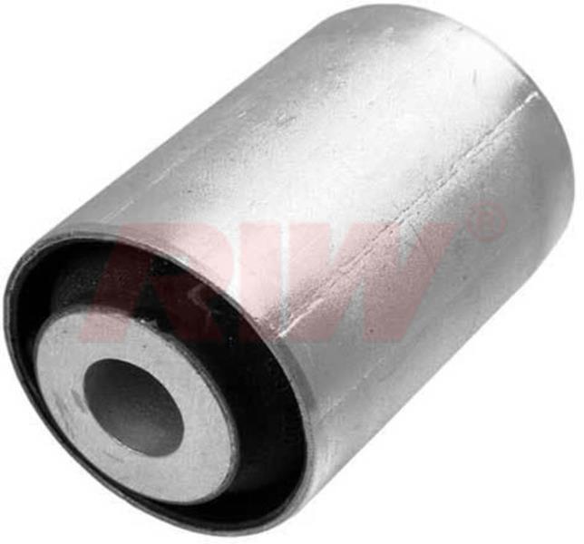 Salıncak Ve Denge Kolu Burcu - RIW - PE11006