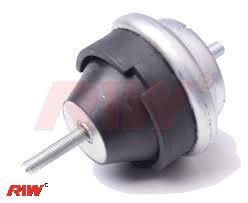 Motor Takozu - RIW - PE12016