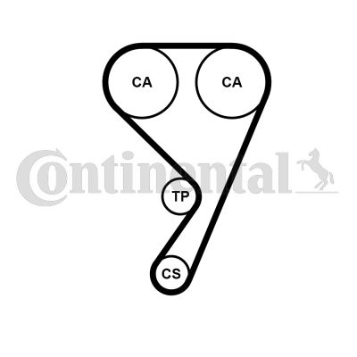 CONTINENTAL CTAM CT1189WP1 Motor Triger Seti - FORD FOCUS III uyumlu
