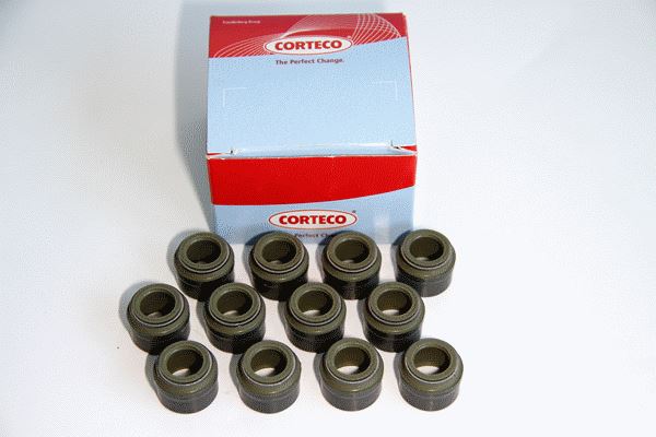 CORTECO 19036975 Motor Supap Kılavuzu & Conta