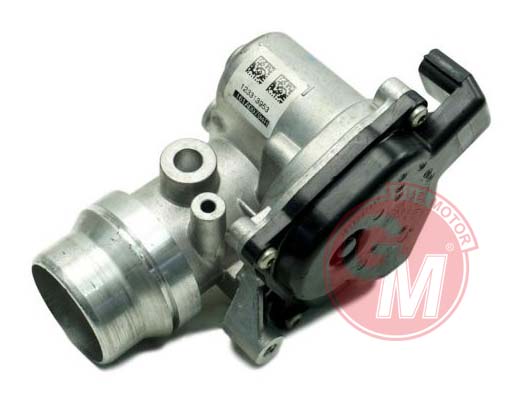 Gaz Kelebeği - GUARNITAUTO - 41196 Ürün Görseli