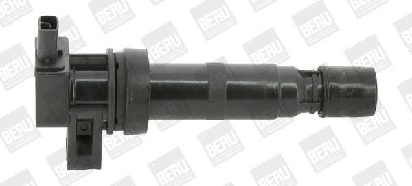 BorgWarner (BERU) ZS531 Ateşleme Sistemi Ateşleme Bobini - HYUNDAI GRANDEUR (TG) uyumlu