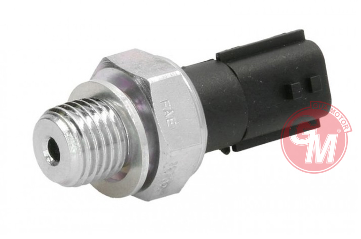 Yağ Basınç Müşiri - GUARNITAUTO - 40676 Ürün Görseli