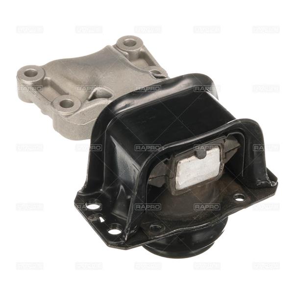 RAPRO R55649 Motor Motor Yataklama - CITROËN C4 II (NC_) uyumlu