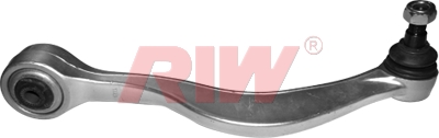 Salıncak - RIW - BW5013 Ürün Görseli