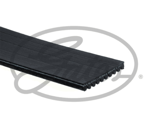 GATES 10PK2160HD Motor Kayış - SETRA Series 500 uyumlu