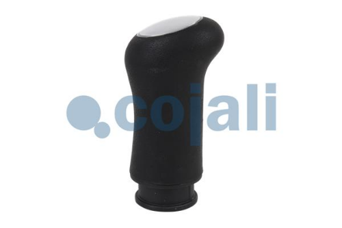 COJALI 2880156 Şanzıman Şanzıman Kullanım Ünitesi