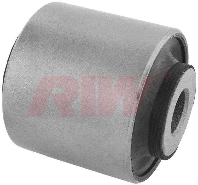 Salıncak Burcu - RIW - MZ11017 Ürün Görseli